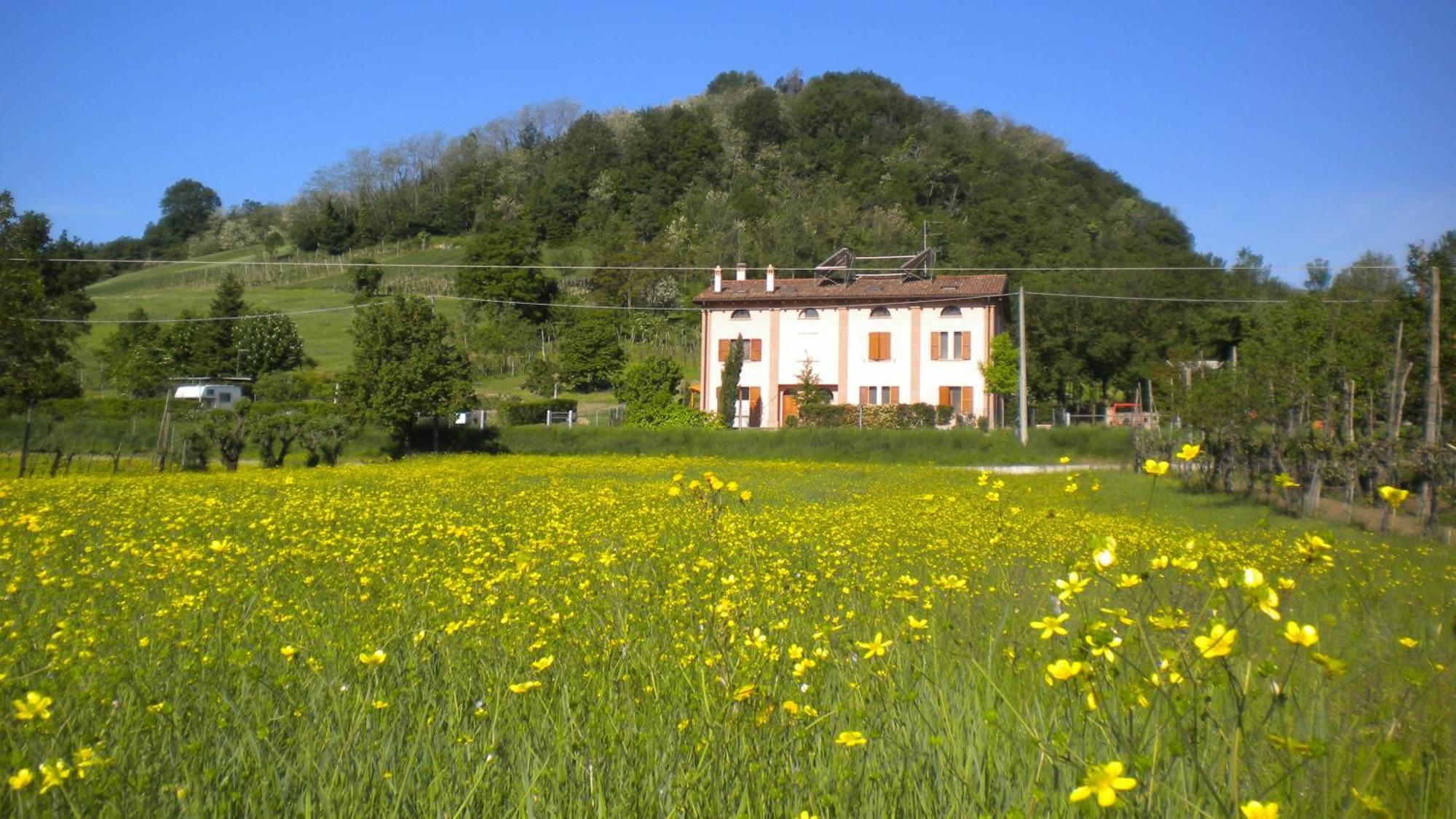 Agriturismo Il Cavicchio Pianoro Exterior photo